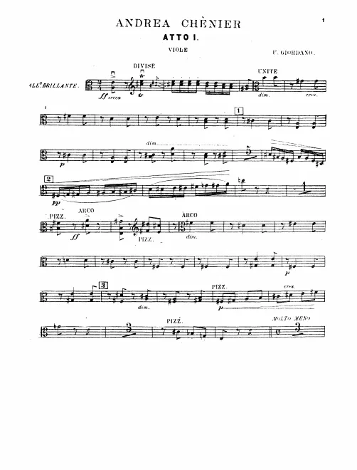 Violas