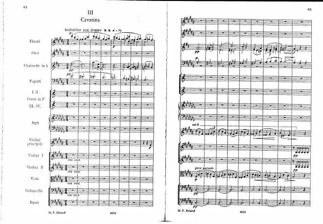 3. Cavatina. Andantino non troppo