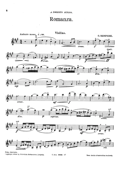 Violin Part (monochrome)