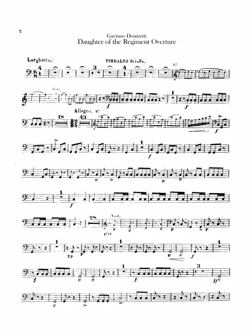 Timpani, Snare Drum, Bass Drum