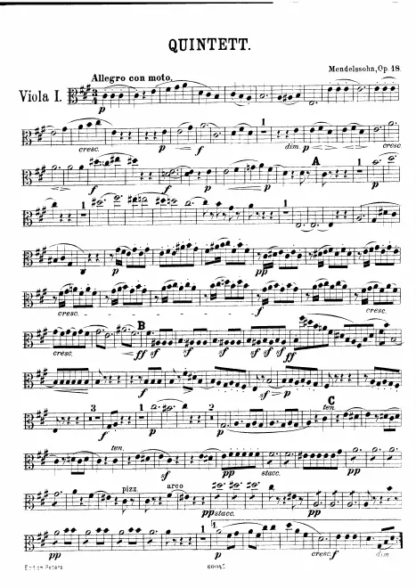 Viola 1