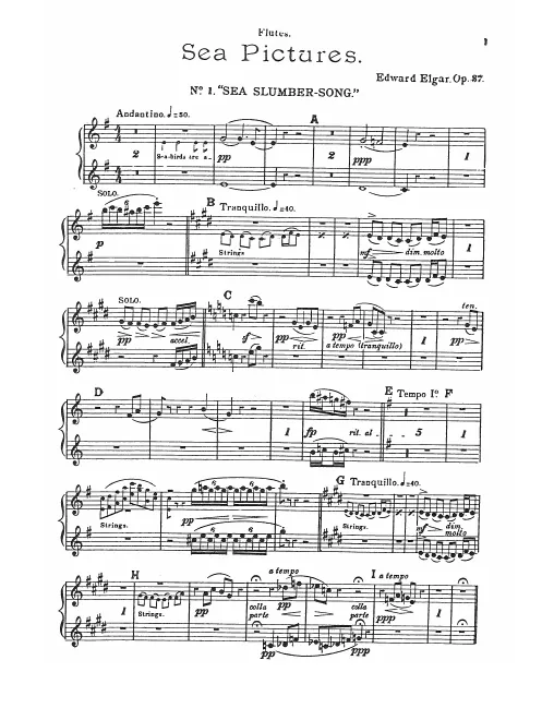 Flute 1/2