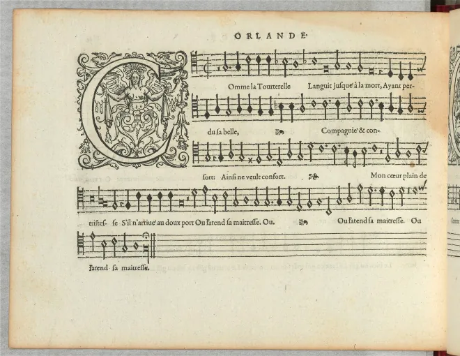 Tenor