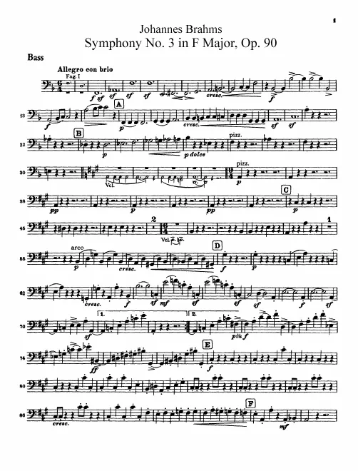 Basses