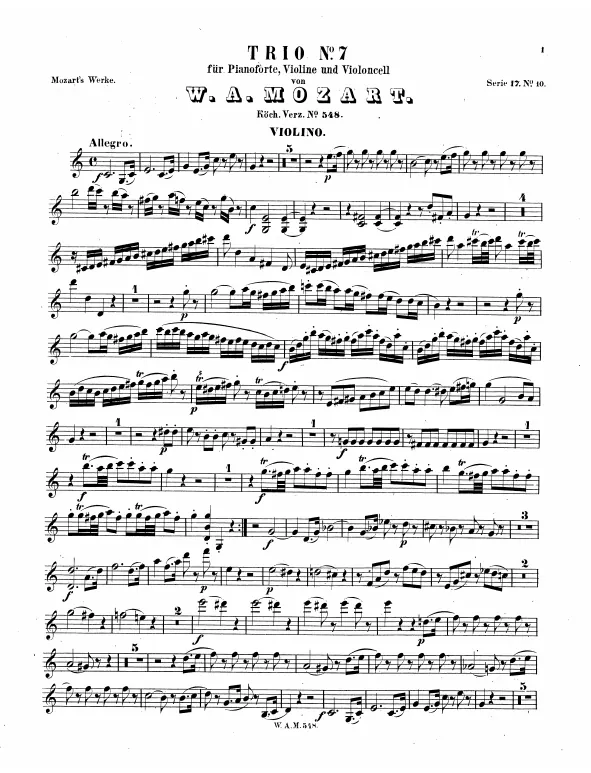 Violin