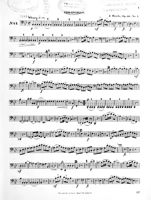 Cello