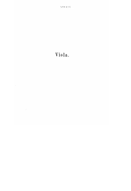 Viola