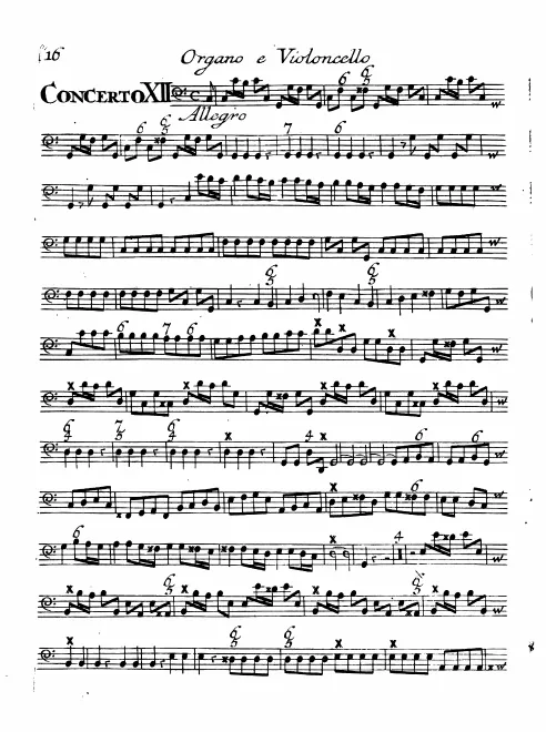 Continuo (Cellos, Basses, Keyboard)