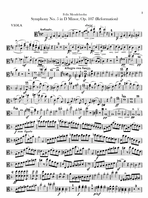 Violas