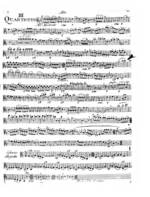 Viola
