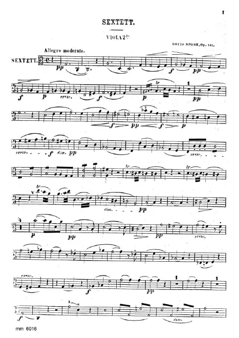 Viola 2