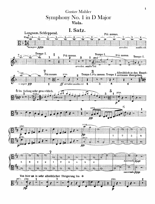 Violas