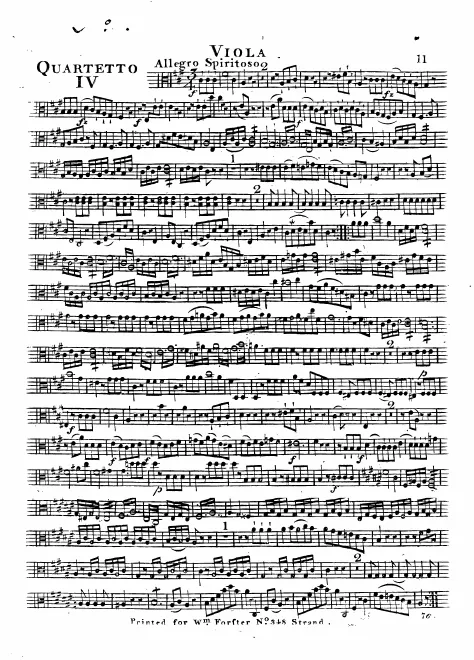 Viola