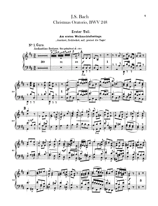 Organ