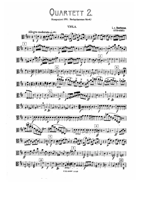 Viola