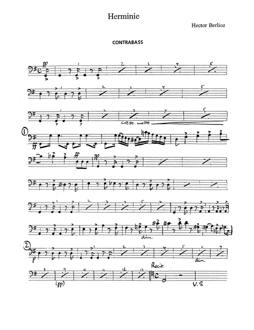 Basses