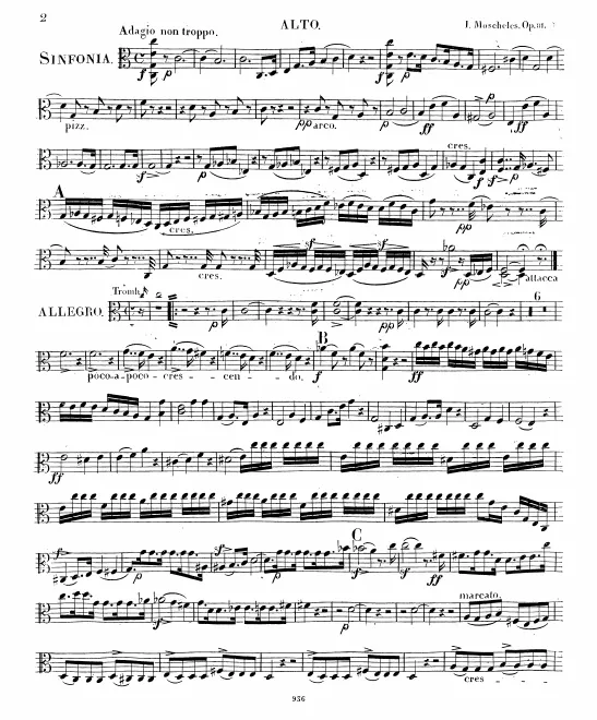 Violas