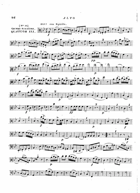 Viola
