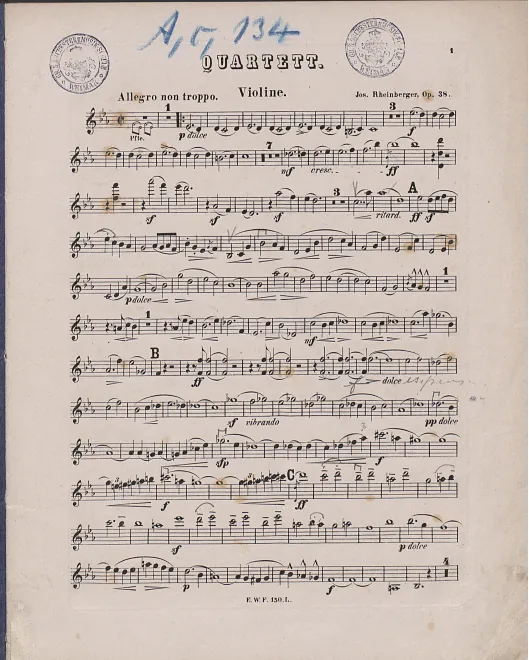 Violin (color, with annotations)