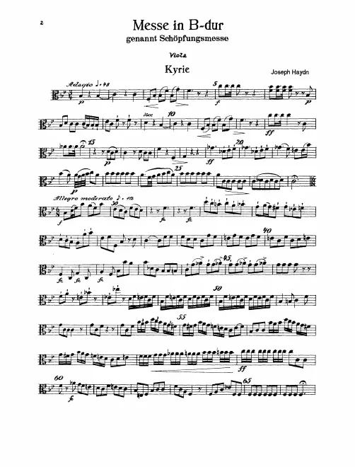 Violas
