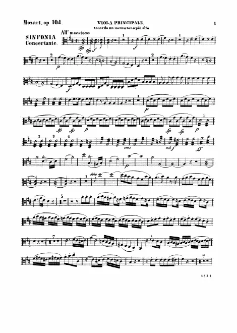 Viola solo