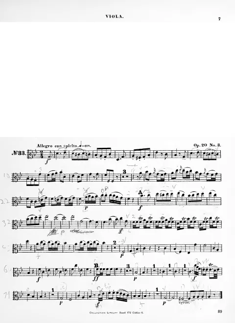 Viola