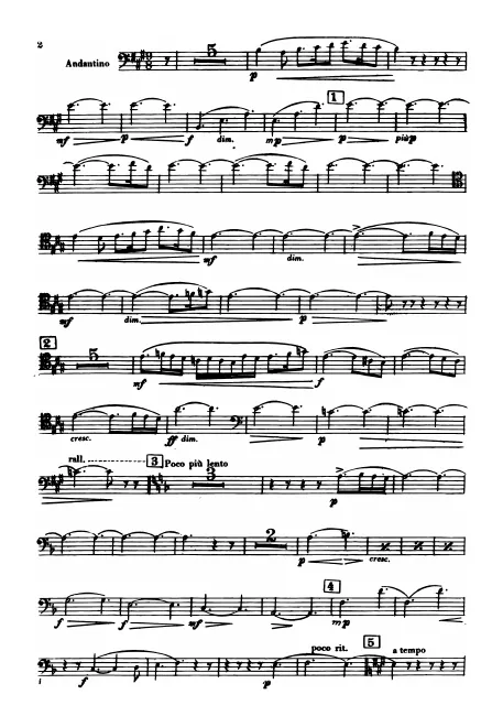 Bassoon 1
