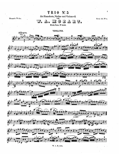 Violin