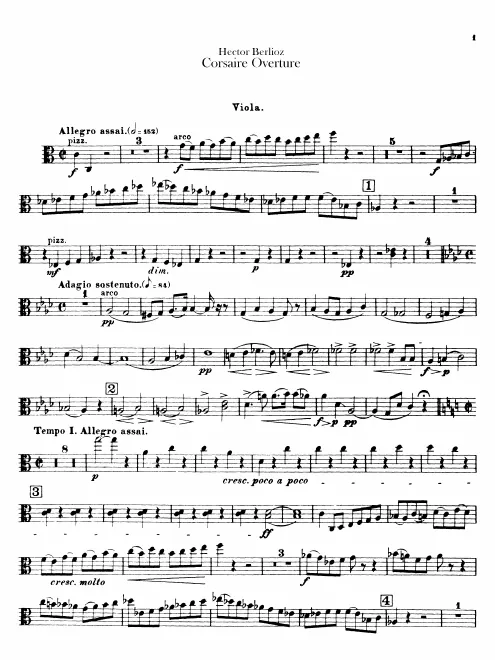 Violas