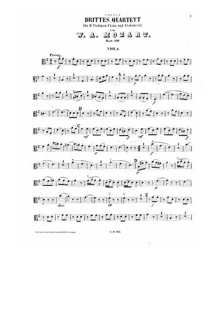 Viola