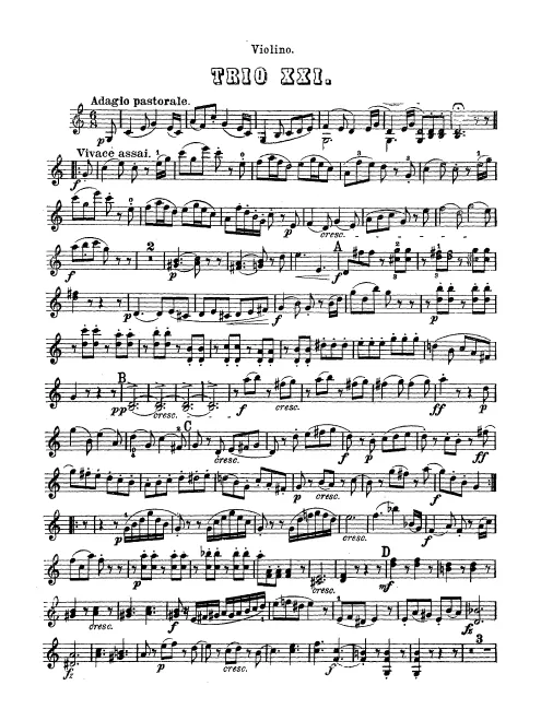 Violin