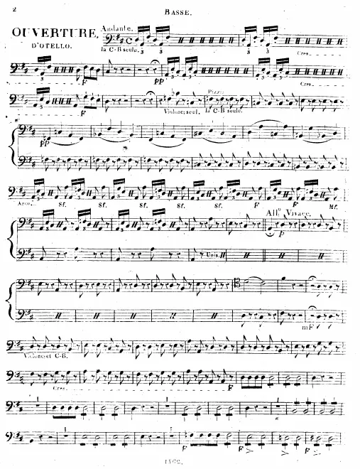 Cellos/Basses