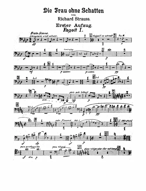 Bassoon 1