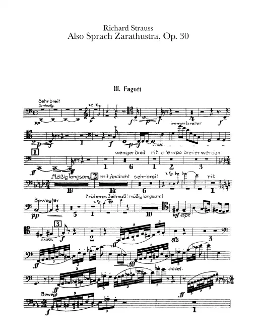 Bassoon 3