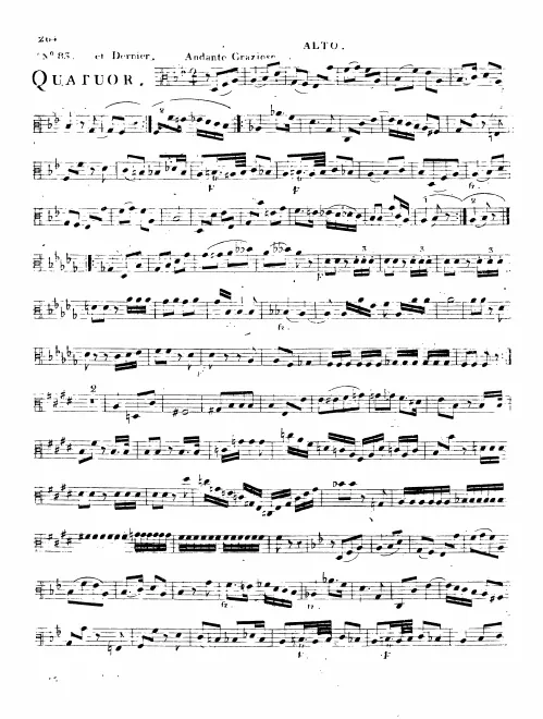 Viola
