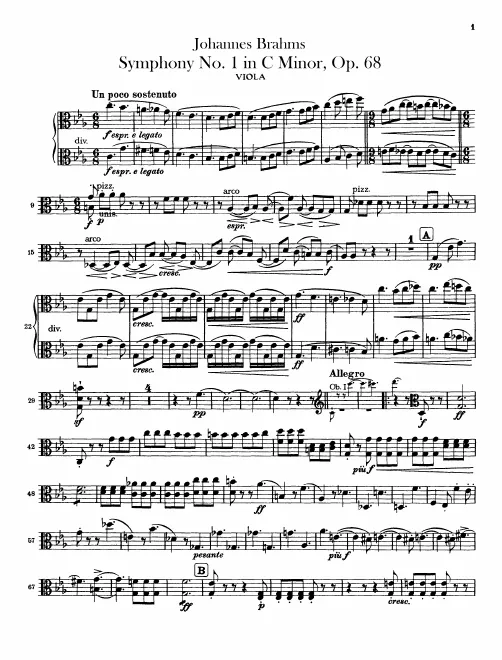 Violas