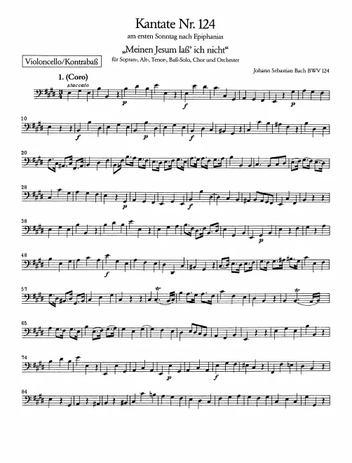Cellos/Basses