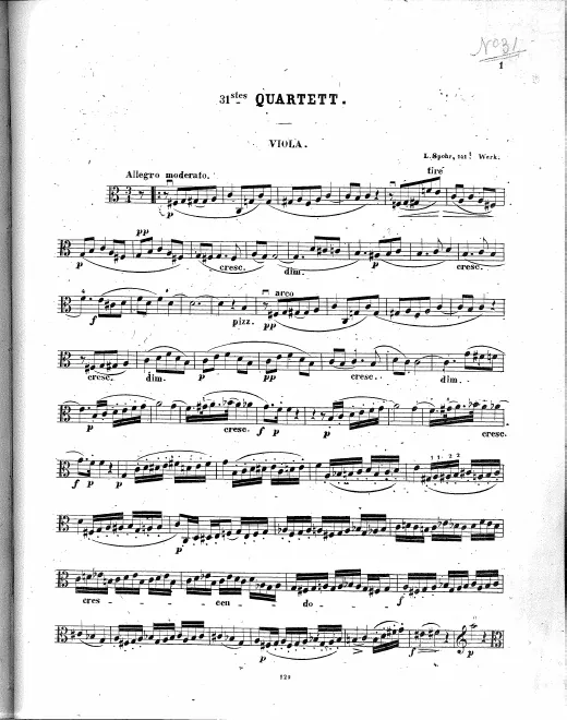 Viola