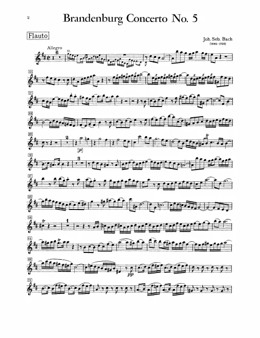 Flute Solo