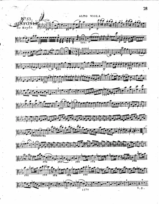 Violas