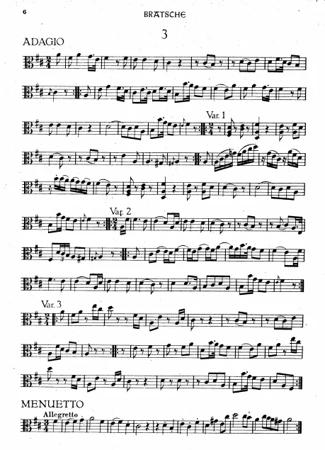 Viola