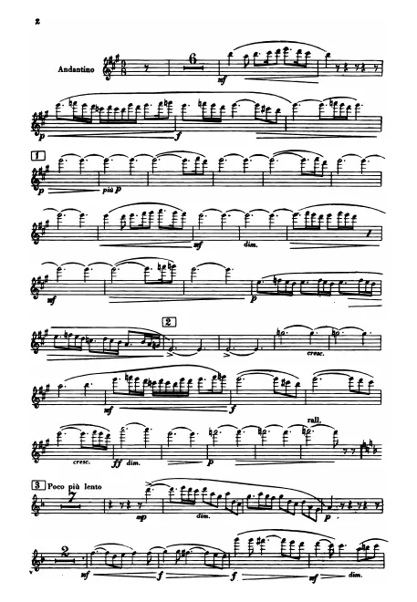 Flute 1