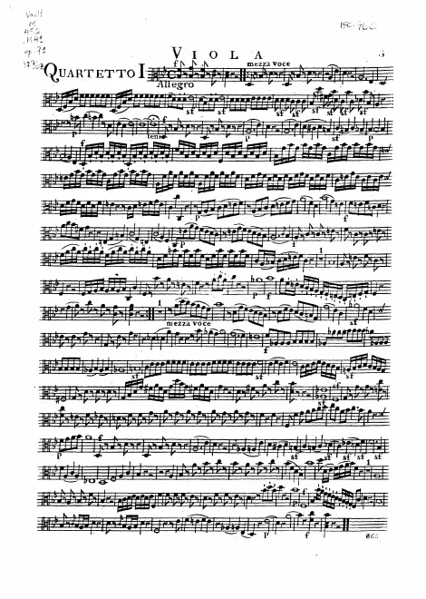 Viola