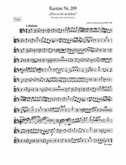 Violas