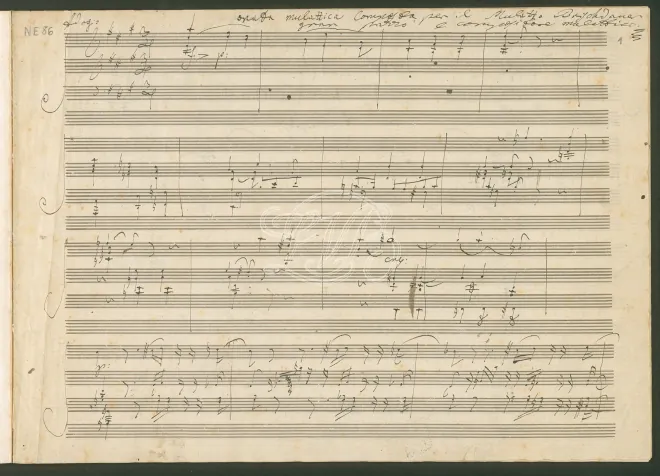 Fragment