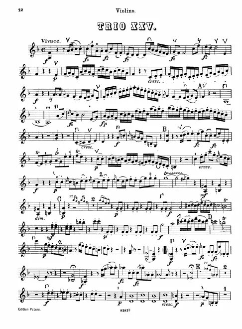 Violin