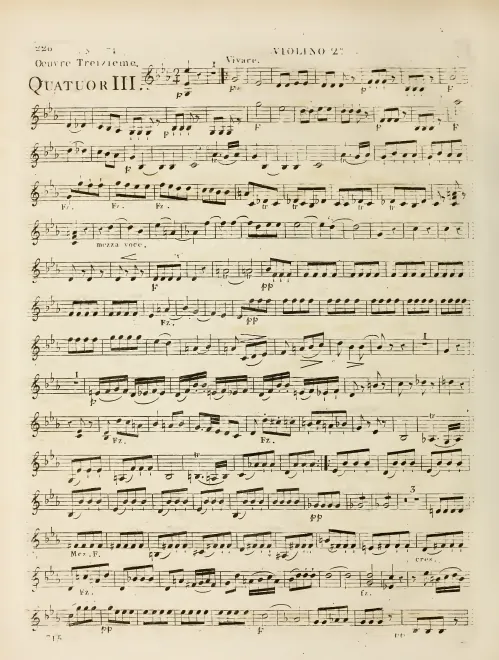 Violin 2