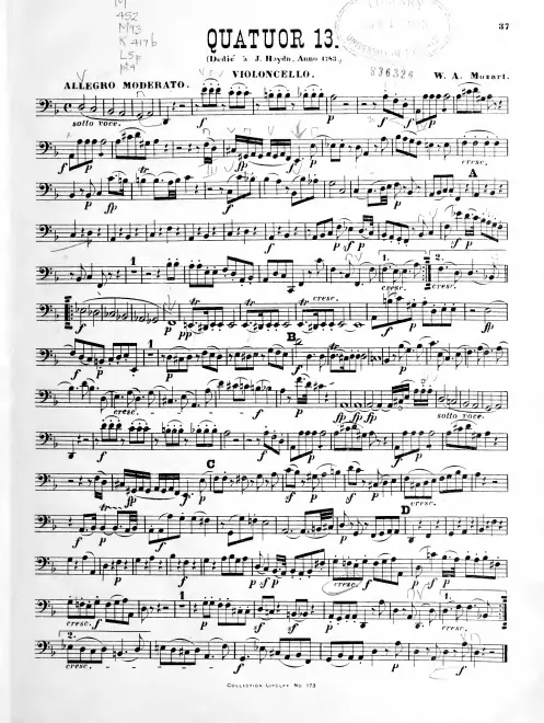 Cello