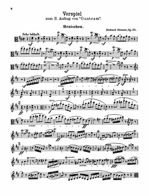 Violas
