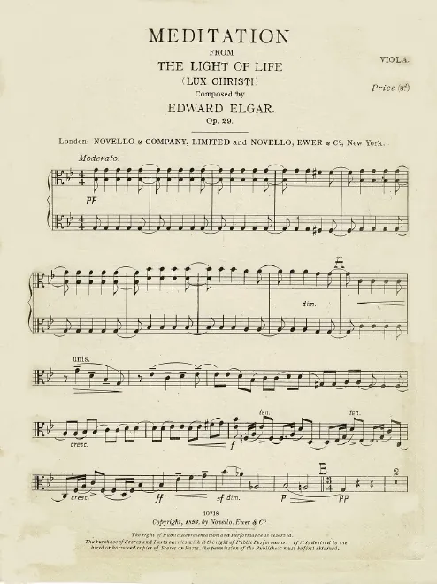 Violas